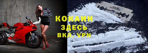 мяу мяу мука Алзамай