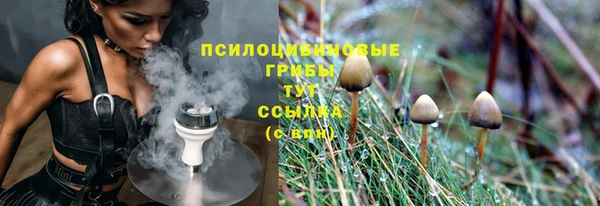 крисы Арсеньев