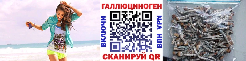 Псилоцибиновые грибы GOLDEN TEACHER  кракен вход  Мариинск 